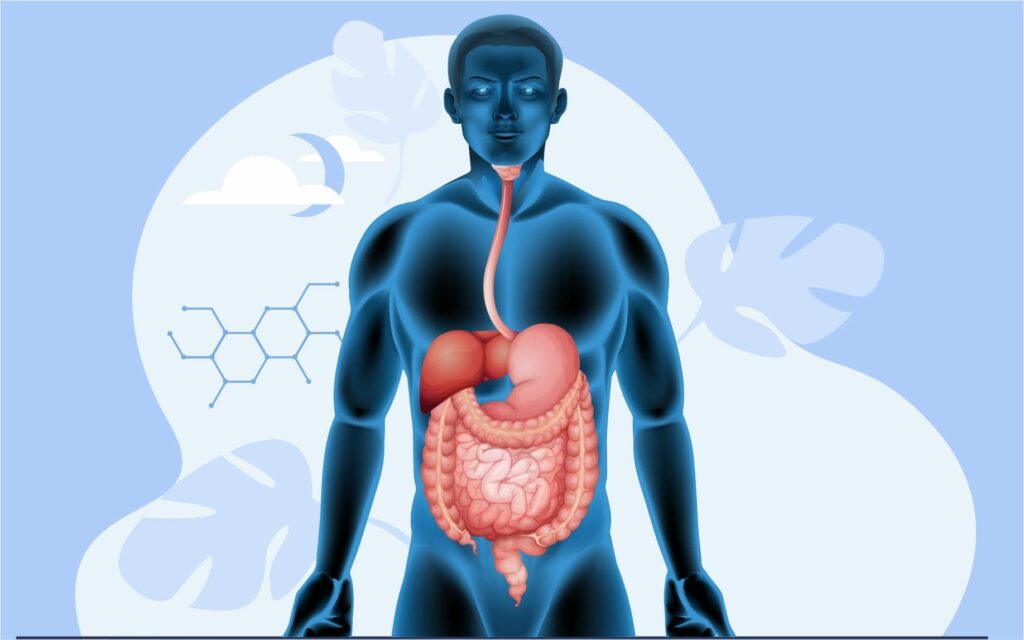 Digestion And Absorption - ProCredits