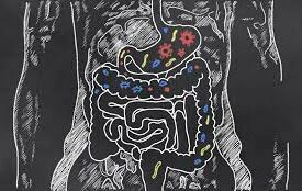 Photo of Leaky Gut
